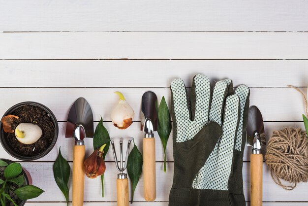 Jak wybrać odpowiednie narzędzia do prac ogrodowych?